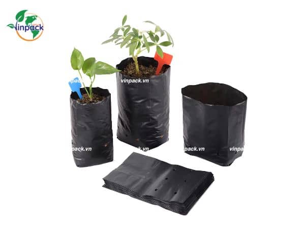 Túi Bầu Ươm Cây Tự Hủy Sinh Học