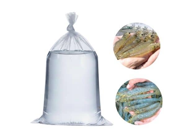 Túi Đựng Tôm Giống