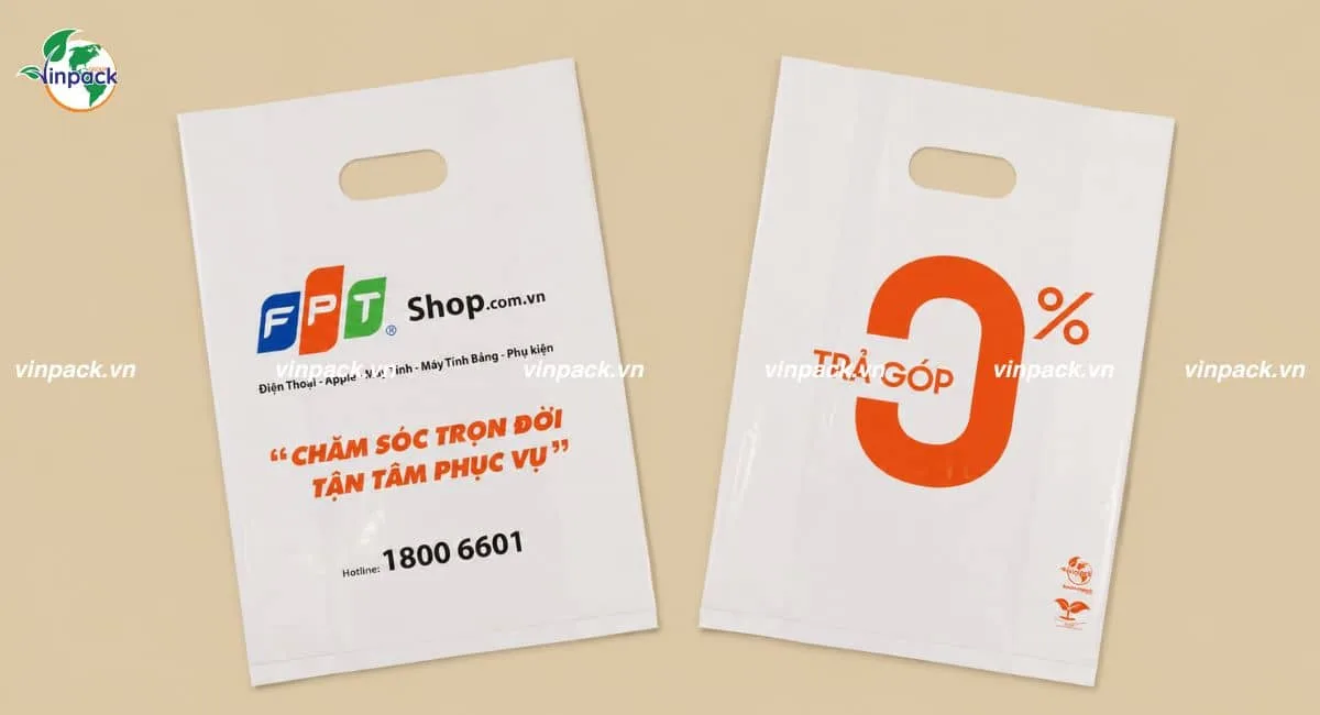 Túi hột xoài làm từ chất liệu tự hủy sinh học