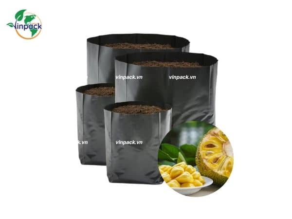 Túi Trồng Cây Mít