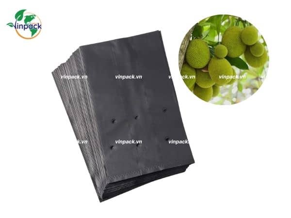 Túi Trồng Cây Mít
