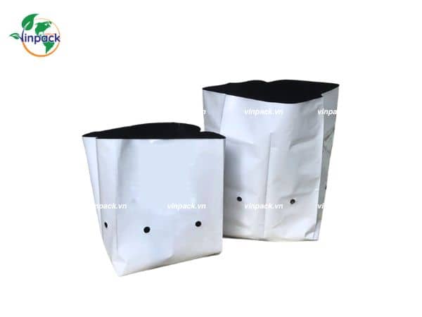 Túi Trồng Dưa Lưới