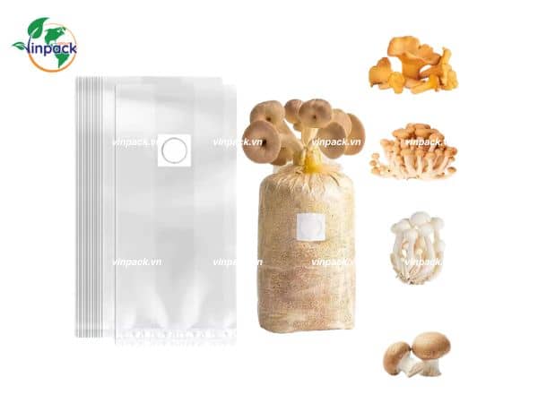 Túi Trồng Nấm