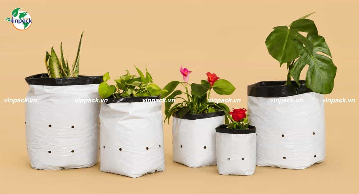 Túi ươm cây 2 da có đục lỗ thoát nước đầy đủ kích thước