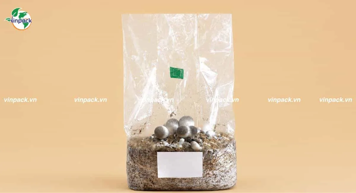 Mẫu túi ươm cây trong phôi nấm