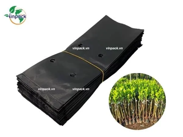 Túi Trồng Cây Mít