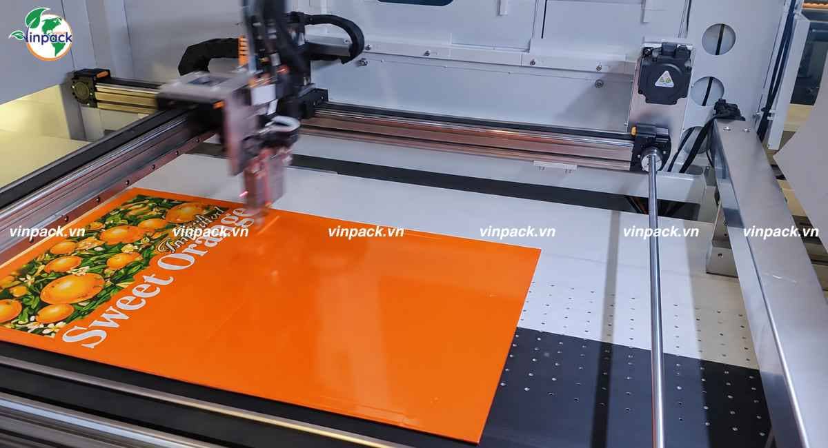 Xưởng sản xuất hộp giấy đựng trái cây số lượng lớn